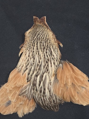 Barred ginger hen neck cape - ginger,