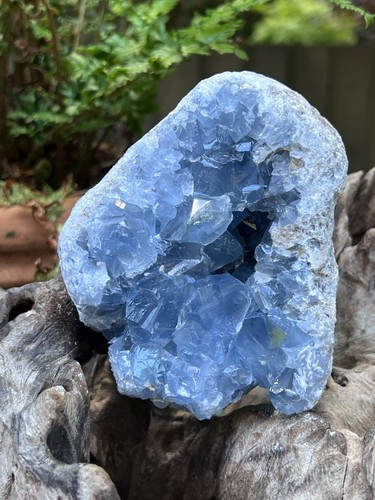 Celestite open cluster - open, geode