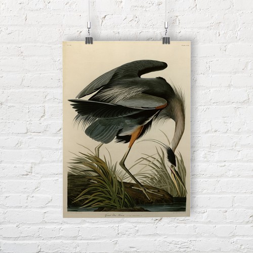 John james audubon great - john,