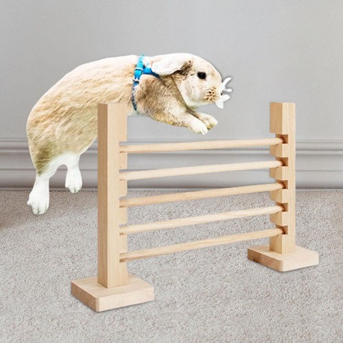 Jump bar bunny - jump,