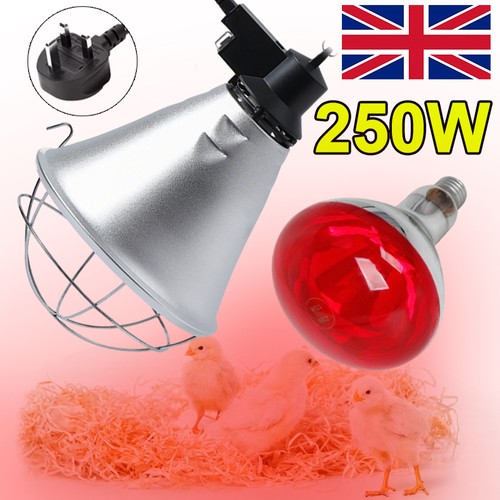 Infra red heat lamp - heat,