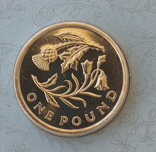 2014 BUNC ONE POUND £1