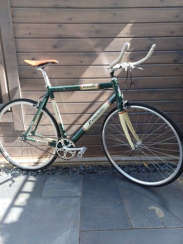 Pinarello lungavita 700c 54cm - pinarello,