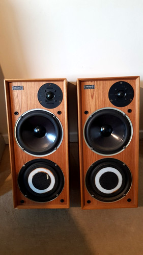 Celestion ditton xr - celestion,