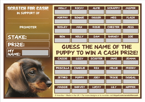 Fundraising scratch cards - scratch,