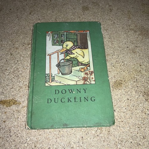 Downy duckling ladybird - downy,