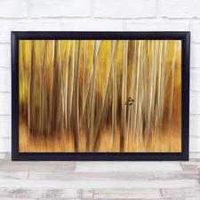 Yellow Orange Spring Trees Tree Trunks Abstract Leaf Leaves Wall Art Print