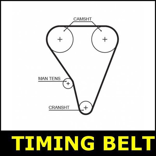 Timing belt cam fits - belt, 800