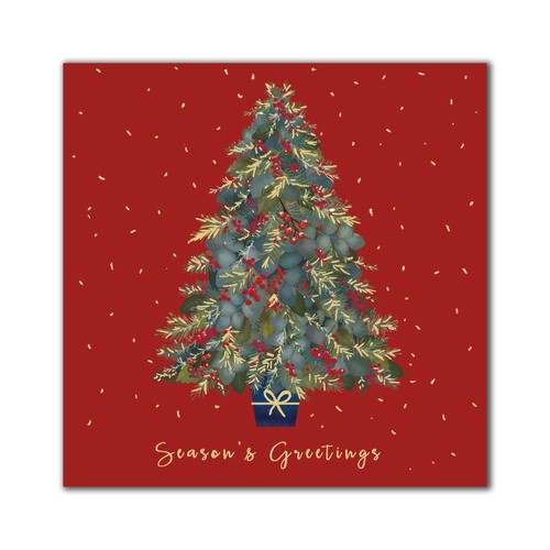 Pack festive christmas - pack,