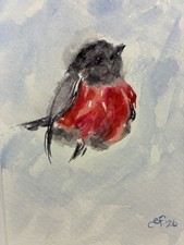 Pink Robin Original Watercolor