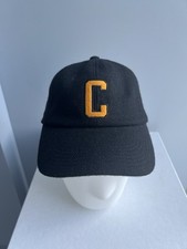 Carhartt Wool Cap Size OS