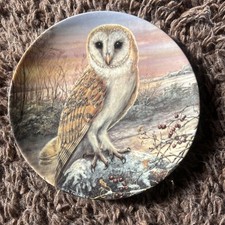 Royal Worcester The Barn Owls