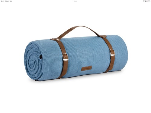 Picnic blanket person - 10,