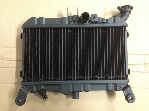 Honda ns400r radiator - honda, 85-87
