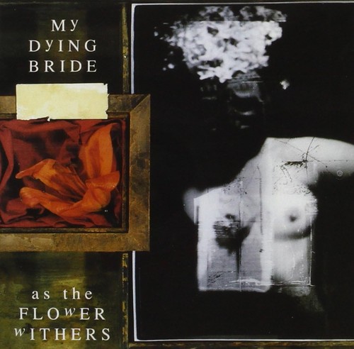 Dying bride as the flower - dying,