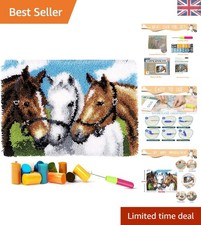 DIY Latch Hook Rug Kit for
