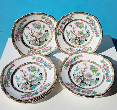 Indian tree duchess china - indian,