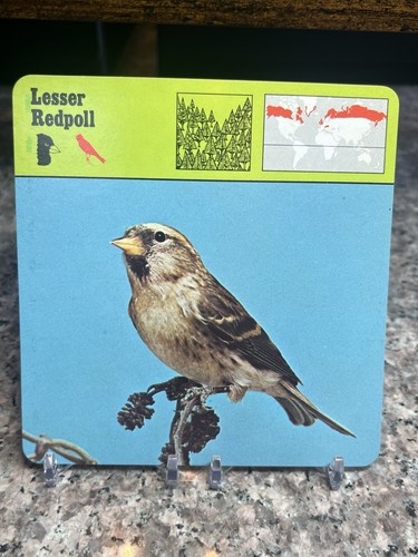 Lesser redpoll 1977 editions - 1977,
