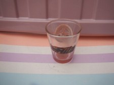 ALTON TOWERS RITA SHOT GLASS