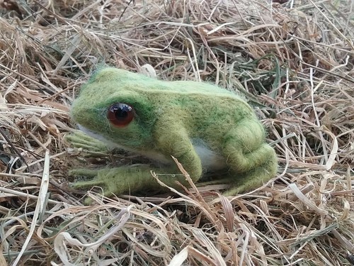 Frog needle felt - needle,