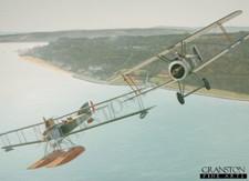 Aviation art Post card  RFC