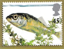2001 45p Three-spined Stickleback Fish. Pond Life. Europa. SG 2222