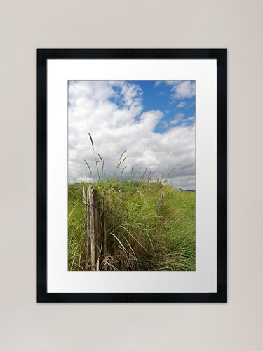 Beside the seaside - , art