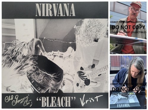 Krist novoselic signed - novoselic, nirvana