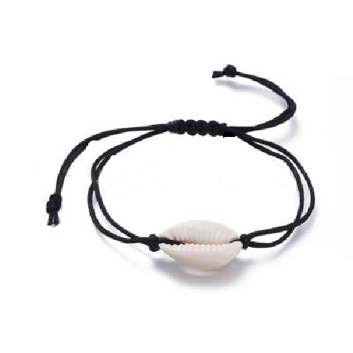 Natural cowrie shell - , seashell