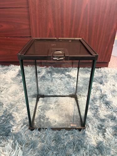 Glass spider reptile tank - glass, spider/reptile