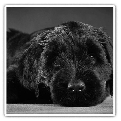 Square stickers cm - square,