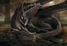 Anne Stokes dragon fabric