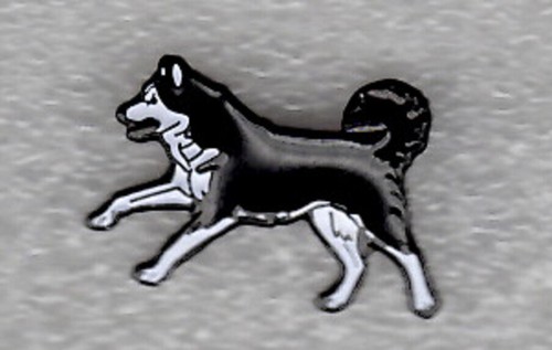 Husky pin badge - ., running