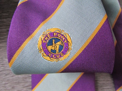 The pony club horse rider - the,