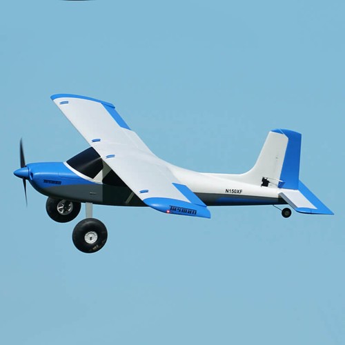 Xfly tasman bush - xfly,