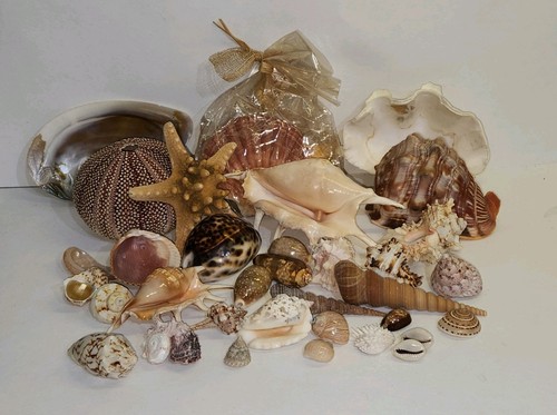 Bundle large small sea - large,