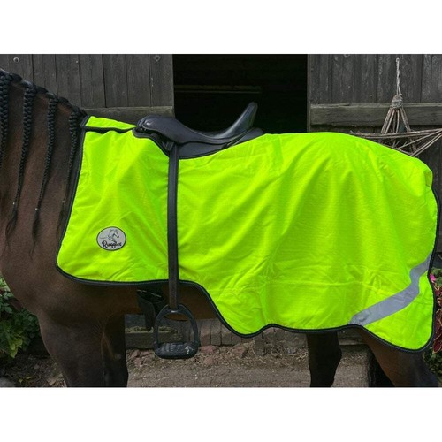 Ruggles viz 100g waterproof - hi-viz,