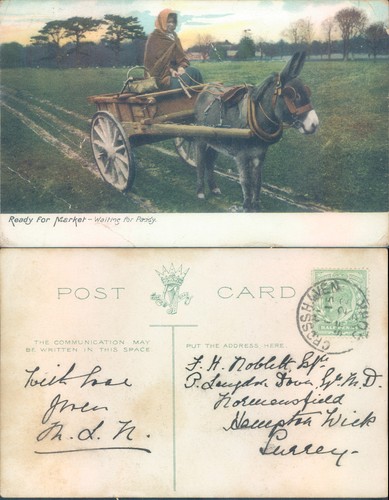 Woman cart with - cart, 1905