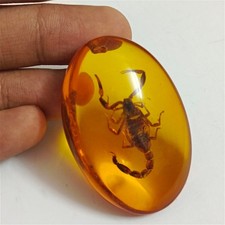Amber stone with real - amber,