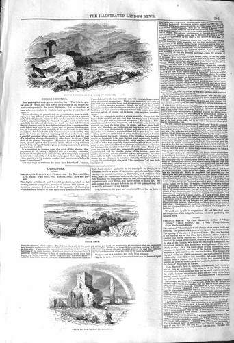 Original old antique print - old,