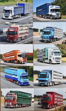 6 X 4 TRUCK PHOTOS  LIVESTOCK /  TRANSPORT TRUCKS X 10  LOT 18