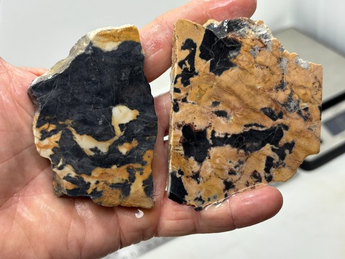 Roan leopard marble - roan, rough