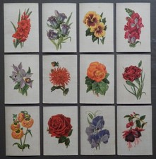 ENGLISH FLOWERS issued 1915