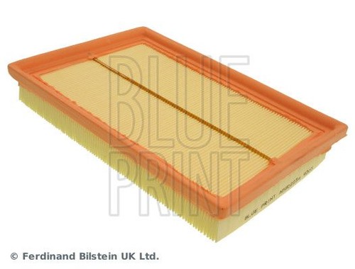 Fits blue print - print, adg02234