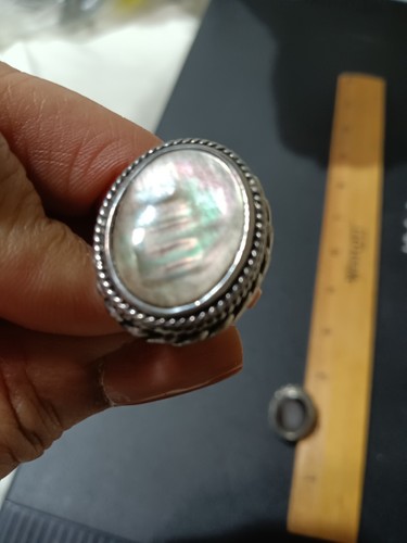 Vintage abalone paua - vintage,