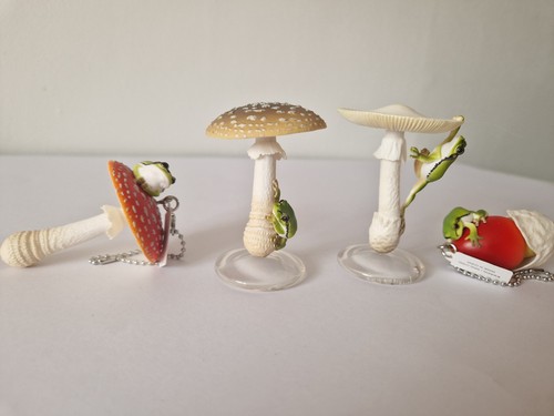 Set japanese frog - of,