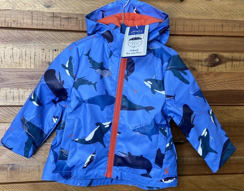 Nwt joules baby boy - nwt,