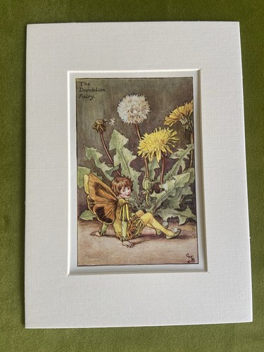 Dandelion flower fairy - ‘dandelion’,