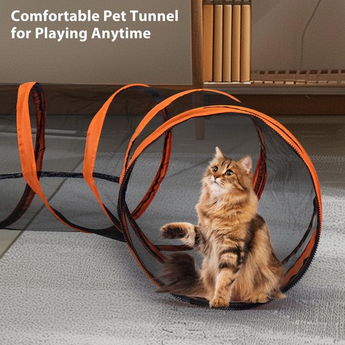 Pet cat and dog - and,
