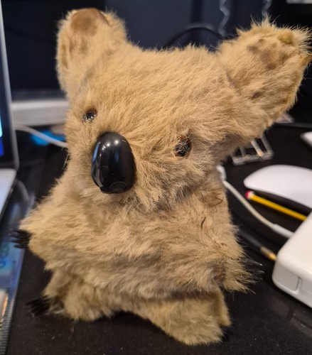 Vintage koala bear